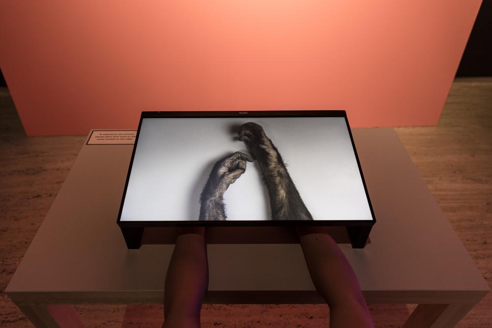 silversalt photography